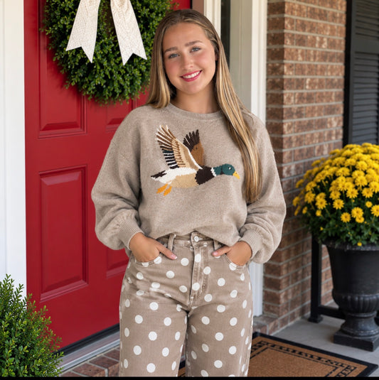 Mallard Duck Graphic Knit Sweater – Taupe